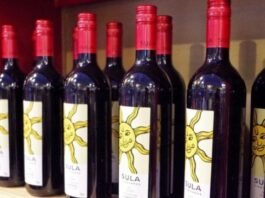 인도의 음주역사, 음주패턴, 그리고 음주문제 대책