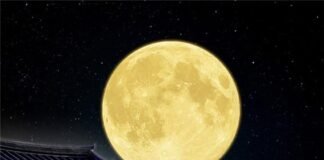 아름다운 이 가을, 풍성하고 넉넉한 한가위!