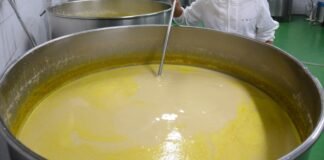 전통주와 맥주제조방법의 차이및 병합