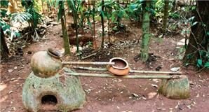 인도의 음주역사, 음주패턴, 그리고 음주문제 대책