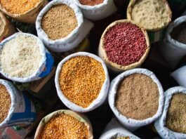 우리가 처음 만든 술은 어떤 형태였을까?