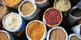 우리가 처음 만든 술은 어떤 형태였을까?