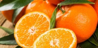 이석현의 하이볼 이야기