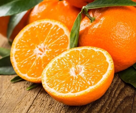 이석현의 하이볼 이야기