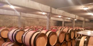 국내회사가 프랑스 와인회사에 투자를?