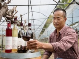 수도산 와이너리 백승현 대표