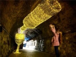 청도(靑島)와 청도(靑道) 술의 아름다움