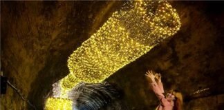 청도(靑島)와 청도(靑道) 술의 아름다움