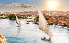 이집트를 겨울에… 간다?