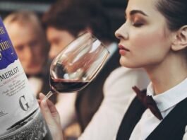 와인 전문가가 되려면