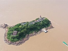 쓸쓸한 설 연휴를 지나