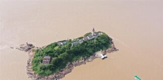 쓸쓸한 설 연휴를 지나