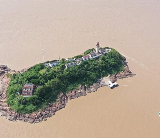 쓸쓸한 설 연휴를 지나