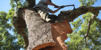 코르크는 물리적, 화학적 성질가진 천연 재질