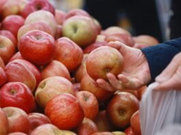 세계에서 가장 비싼 ‘사과’ 나라