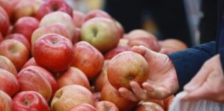 세계에서 가장 비싼 ‘사과’ 나라