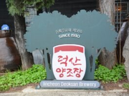 100년 역사 근대문화유산 ‘진천덕산양조장’이 젊어졌다