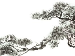 ‘솔아 솔아’ 시인 박영근의 기행적 술 이야기