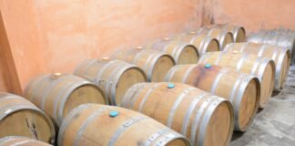 와인양조장 설립