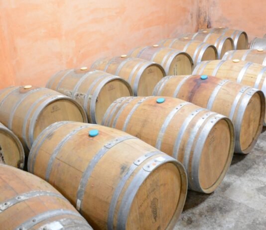 와인양조장 설립