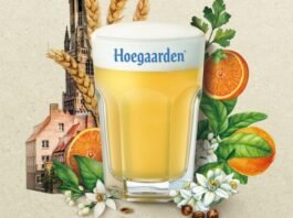 오리지널 벨기에 밀맥주 호가든 ‘내 마음 속 오리지널’ 신규 캠페인 전개