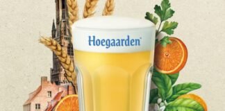 오리지널 벨기에 밀맥주 호가든 ‘내 마음 속 오리지널’ 신규 캠페인 전개