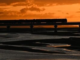 홀로 웃고 우는 시간이…