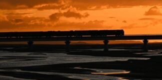 홀로 웃고 우는 시간이…