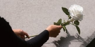 장례식장에서 튀어나온 술이야기