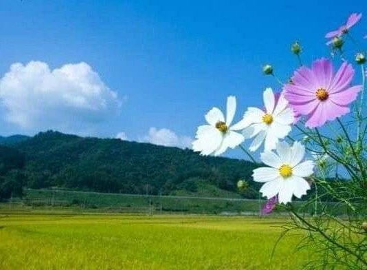 가을인 갑쏘~~
