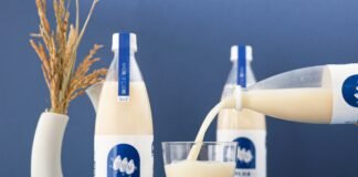 살맛나는 막걸리 한 잔, 살맛나네8.0