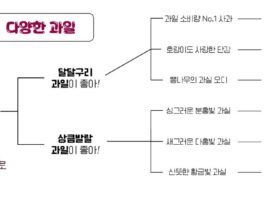 과실주 취향찾기
