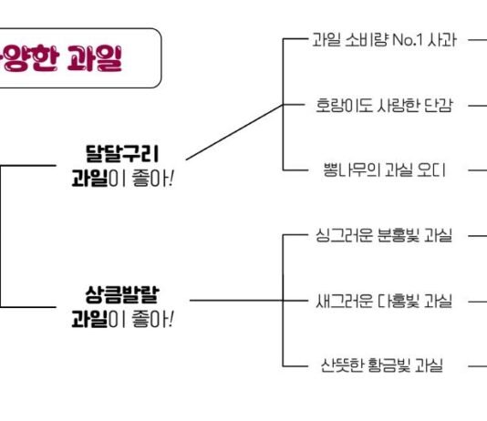 과실주 취향찾기