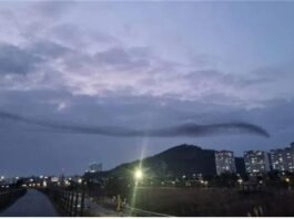 모든 정치의 최우선은 인간(사람, Human) 존중!