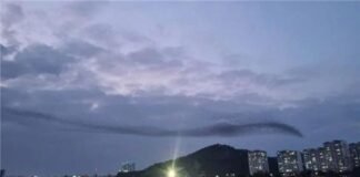 모든 정치의 최우선은 인간(사람, Human) 존중!