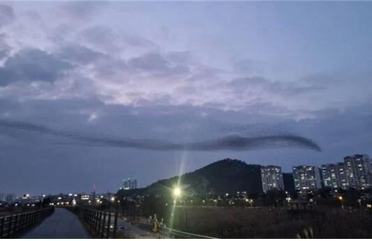 모든 정치의 최우선은 인간(사람, Human) 존중!