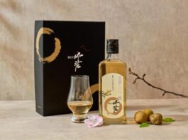 고매한 자태, 그윽한 향기가 가득 한 梅花처럼