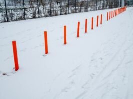 삶의 변화, 그리고