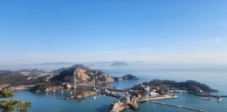 장자도에서 술을 마시다