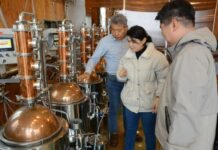 증류주와 위스키