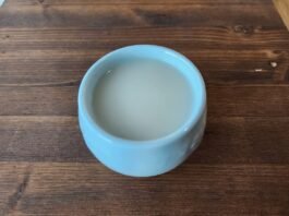 ‘막걸리 한잔 나누는 정