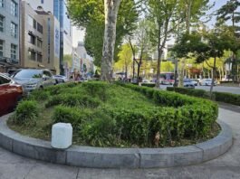 법대로 구분(區分)을 외면하는 독한 사기 술