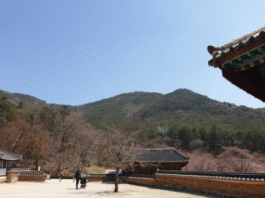 외로움을 극복하기 위해 술을 마시자