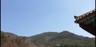 외로움을 극복하기 위해 술을 마시자