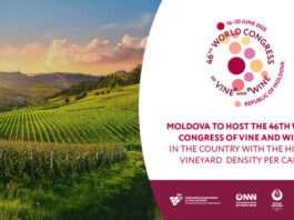 세계 포도 및 와인 총회,1인당 포도밭 밀도가 가장 높은 몰도바에서 성료