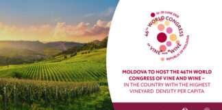 세계 포도 및 와인 총회,1인당 포도밭 밀도가 가장 높은 몰도바에서 성료