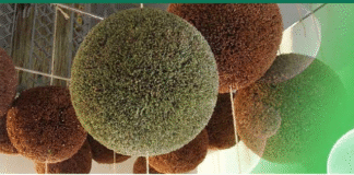 한국술 세계화를 위한 첫걸음, ‘한국술 산업 진흥원’ 설립이 필요하다