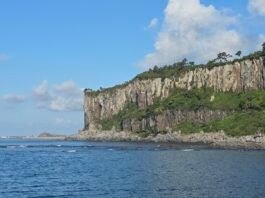 길어 봤자 5년이다