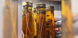 담금주의 숙성메카니즘