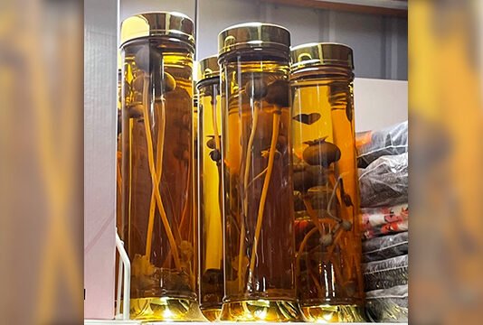 담금주의 숙성메카니즘